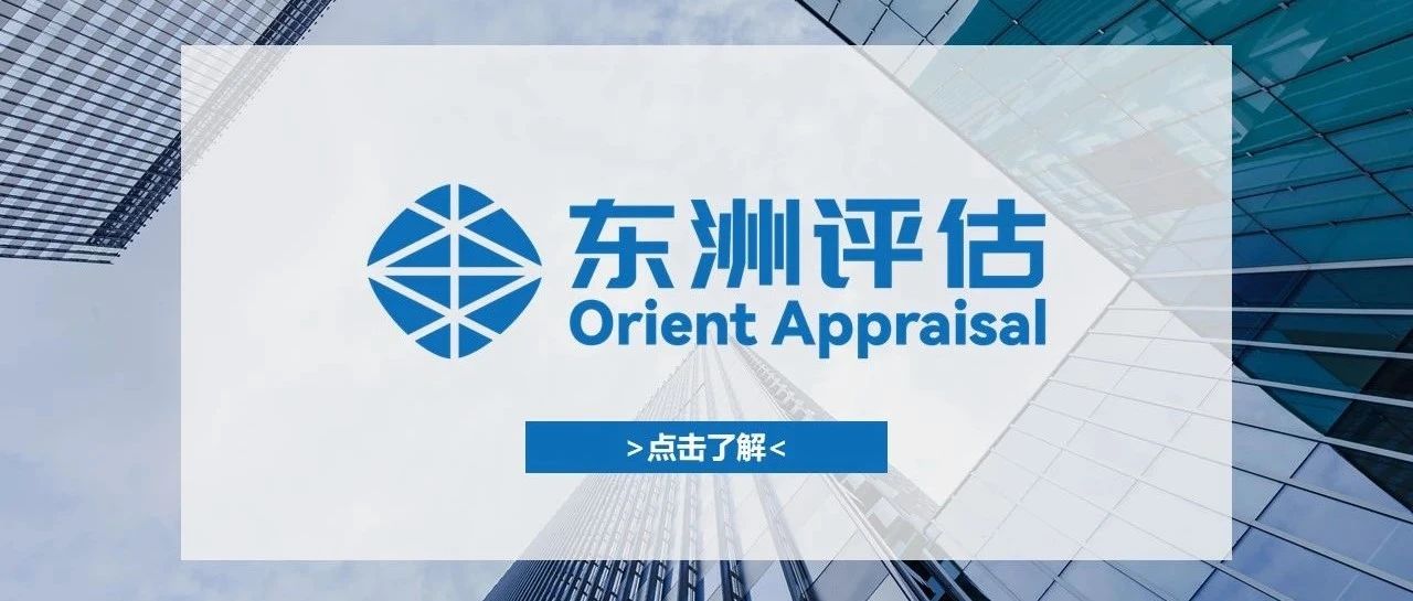 动态 | 东洲评估董事长徐峰参加中国资产评估协会机构治理委员会2025年度全体会议